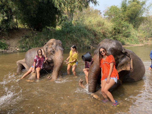 Chiang Mai: Elephant Sanctuary and Sticky Waterfall Tour