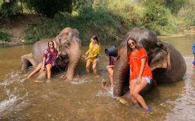 Chiang Mai: Private Elephant Sanctuary and Waterfall Tour
