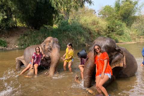 Chiang Mai: Private Elephant Sanctuary and Waterfall Tour