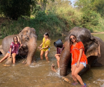 Chiang Mai: Elephant Sanctuary and Sticky Waterfall Tour