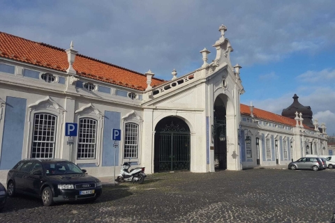Desde Lisboa: visita guiada privada a Sintra y Cascais