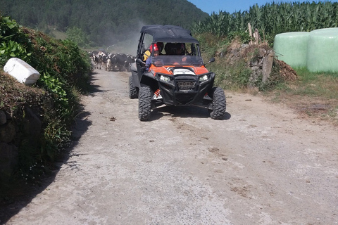 São Miguel: tour de medio día en buggy de costa a costa