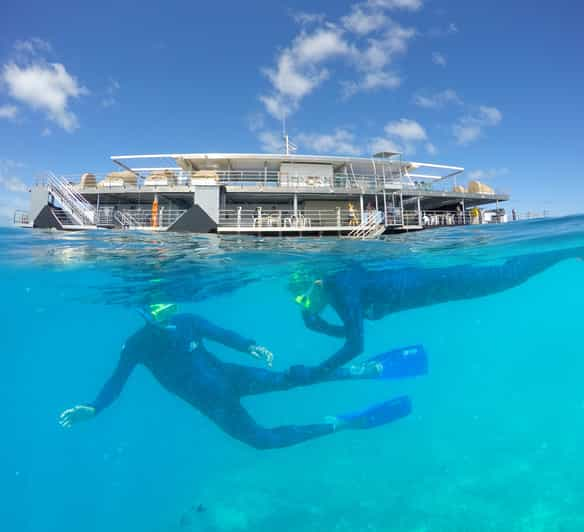 Airlie Beach: Outer Great Barrier Reef ReefWorld Pontoon | GetYourGuide