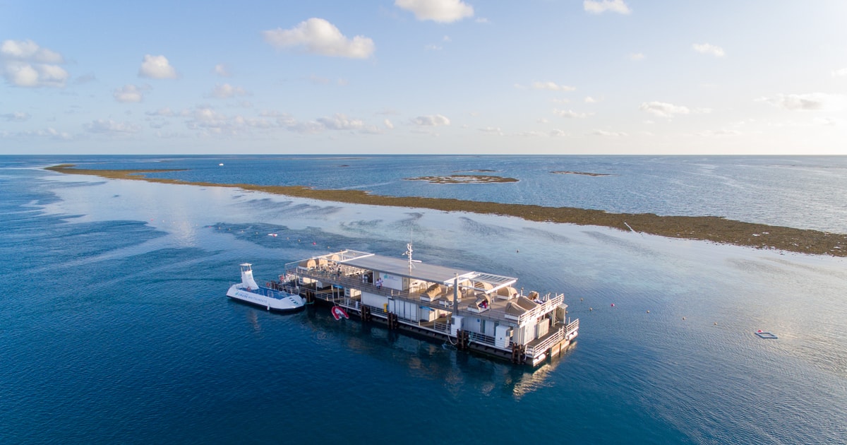 Van Airlie Beach cruise en ReefWorld Pontoonervaring GetYourGuide