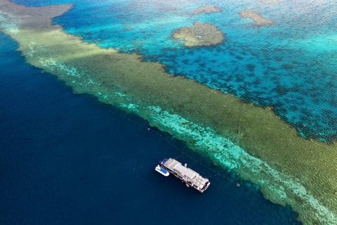 Reef Sleep: 2-Day Great Barrier Reef Pontoon & Gourmet MaaltijdenTweepersoonskamer voor één persoon