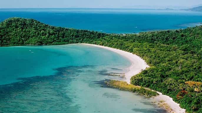 daintree rainforest cape tribulation mossman gorge tour