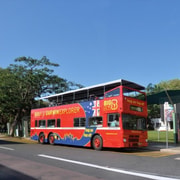 Darwin: Crocosaurus Cove Entry & Hop-on-Hop-Off Bus Tour