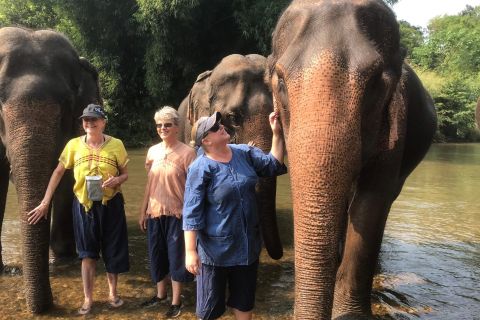 Ethical Elephant Caretaker & Doi Suthep Temple Private Tour