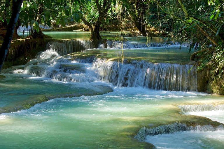 Luang Prabang: Viagem de um dia às cavernas de Pak Ou e às cataratas de Kuang Si