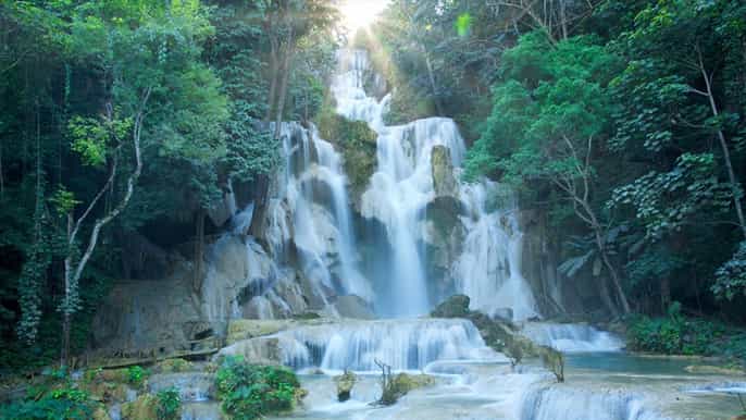 luang prabang kuang si falls laos buffalo dairy day trip