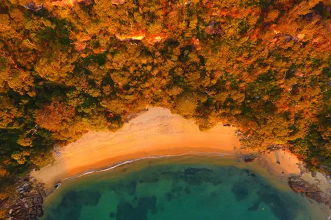 Sydney: BYO Picnic in Paradise para 2