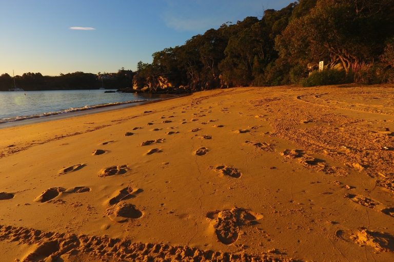 Sydney: BYO Picknick in het Paradijs voor 2
