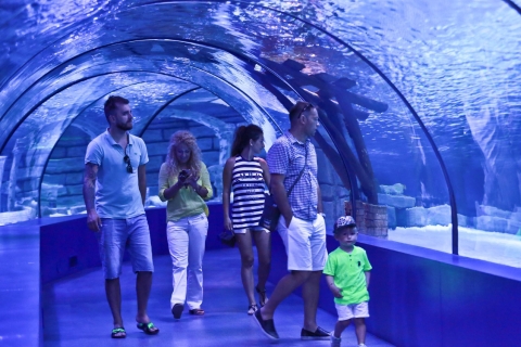 Aquarium d’Antalya : billet d’entrée avec transfertEntrée à l’aquarium d’Antalya avec transfert depuis Antalya