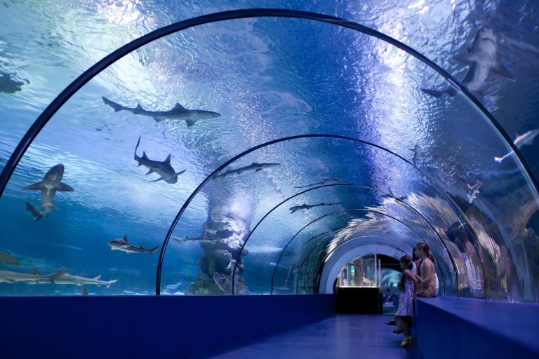 Antalya: toegangsticket voor Antalya Aquarium met vervoerAntalya Aquarium: ticket en transfer vanuit Alanya