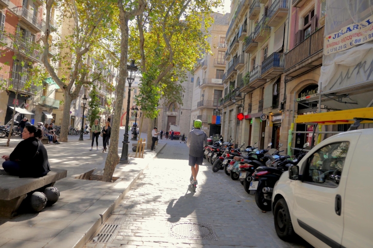 Barcelona: Electric Scooter Tour Private 3-Hour Electric Scooter Tour