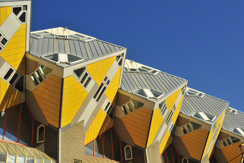 Visite à pied sur l’architecture de Rotterdam