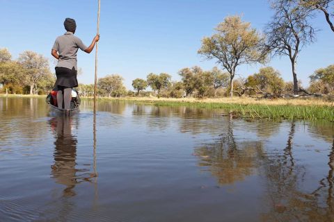 Maun: visite du delta de l'Okavango Mokoro et promenade dans la brousse