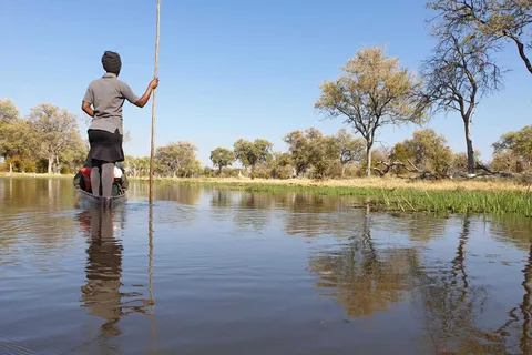 Maun: Okavango Delta Mokoro Tour and Bush Walk
