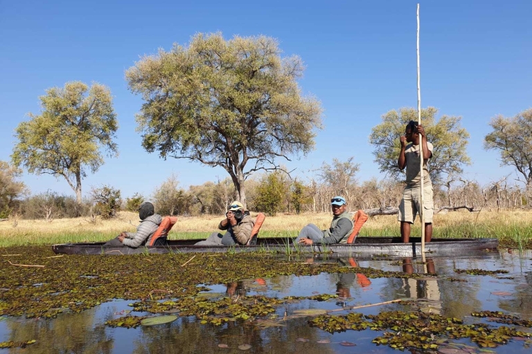Maun: Okavango Delta Mokoro Tour und Bush Walk