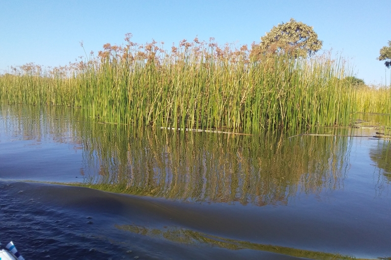 Maun: Okavango Delta Mokoro Tour i Bush Walk