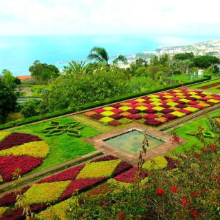 Funchal: tour privato in tuk-tuk del giardino botanico di Madeira