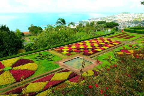 Funchal: Private Tuk-Tuk-Tour durch den Botanischen Garten von Madeira