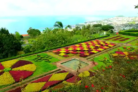 Funchal : visite privée en tuk-tuk du jardin botanique de Madère