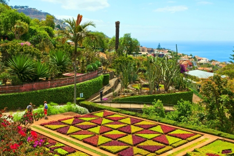 Funchal: visite privée en tuk-tuk du jardin botanique de Madère