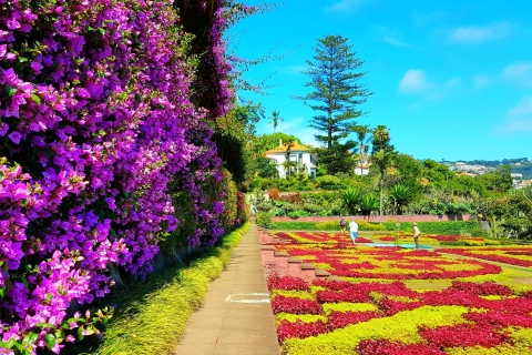 Funchal: visite privée en tuk-tuk du jardin botanique de Madère
