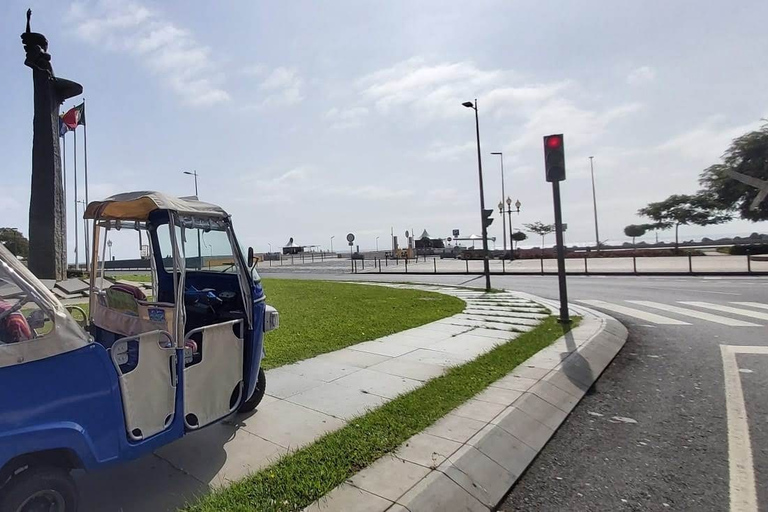 Funchal: visite privée en tuk-tuk du jardin botanique de Madère