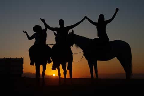 Marsa Alam: paard- en kameelrit over de woestijn of het strand