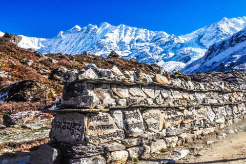 From Kathmandu: Private 8 Days Langtang Valley TrekFrom Kathmandu: 8 Days Langtang Valley Trek