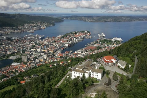 From Oslo: One-Way Day Trip to Bergen with Rail & Cruise