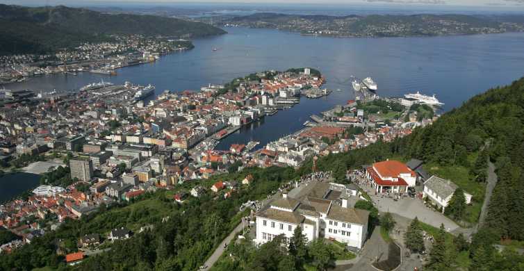 From Oslo One Way Day Trip to Bergen with Rail & Cruise GetYourGuide