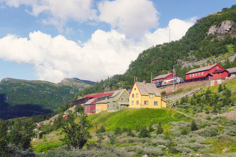 Depuis Oslo : circuit privé aller-retour au Sognefjord via Flåm