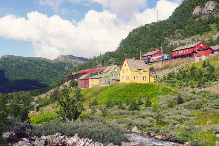 De Oslo: excursão particular de ida e volta a Sognefjord via Flåm