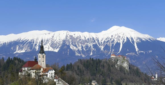 From Ljubljana: Private Bled Lake Day Trip