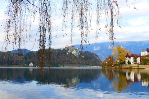 Desde Liubliana: excursión privada de un día al lago Bled