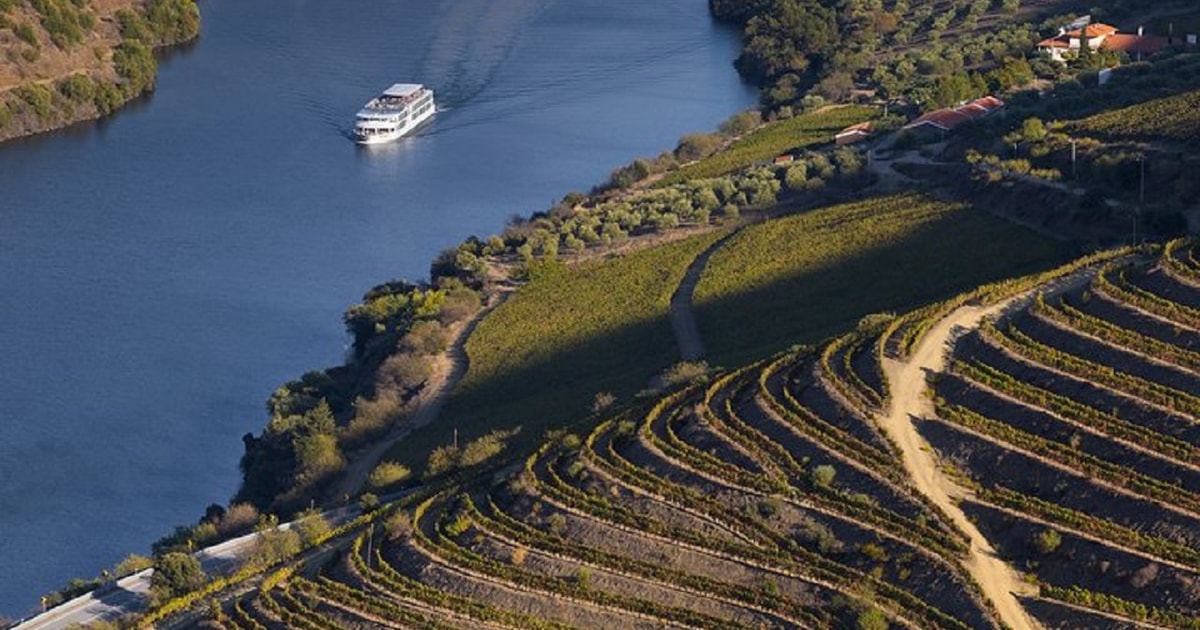 From Porto Pinhão and Douro Valley Scenic Boat Tour GetYourGuide