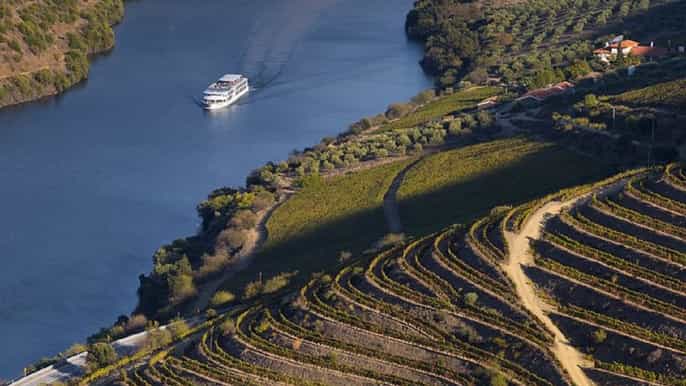 pinhão and douro valley day cruise from porto