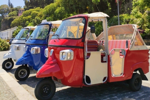 Funchal: tuktuk-ervaring Monte Toboggan