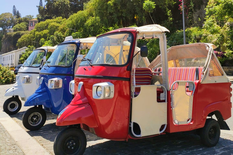 Funchal: Guidad stadsrundtur med Tuk-TukFunchal: Guidad tur med Tuk-Tuk i staden