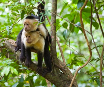 Rincón de la Vieja: Excursión de un día por la naturaleza
