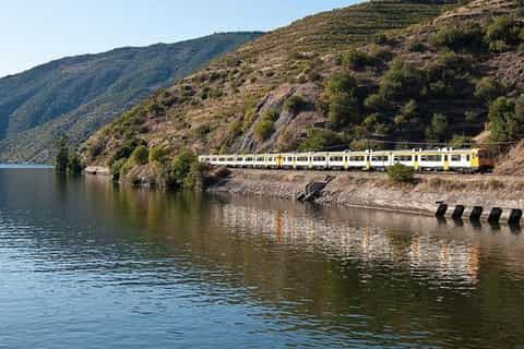 Régua & Douro Valley: Scenic Rail and Cruise from Porto