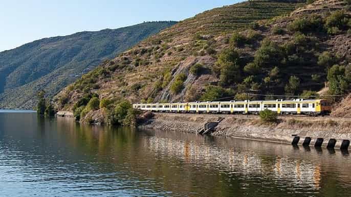 régua douro valley scenic rail and cruise from porto