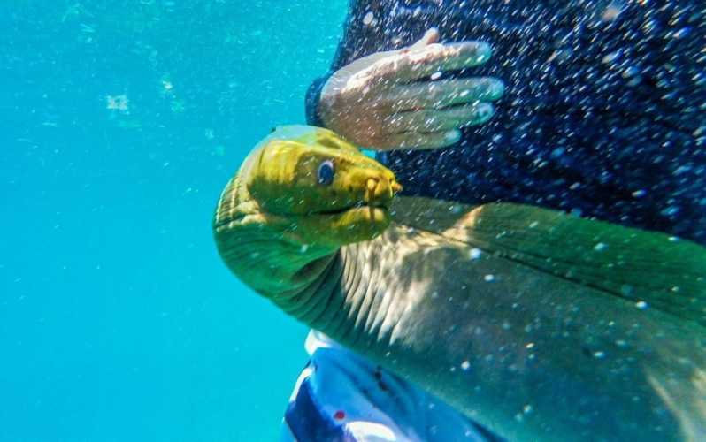 Caye Caulker: Local Reef Half-Day 3-Stop Snorkeling Tour