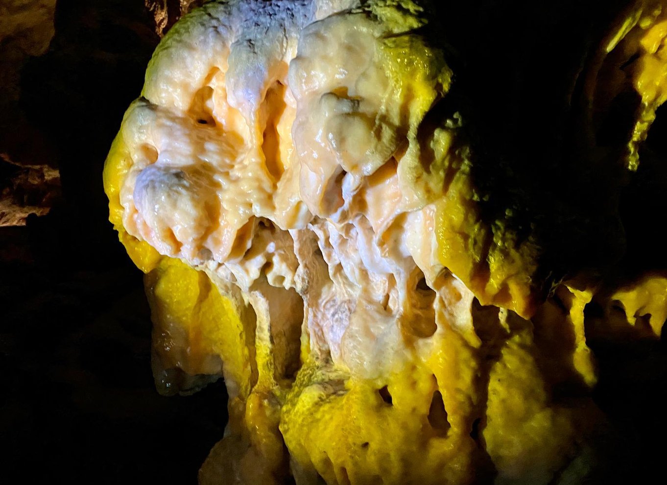 Fra Ljubljana: Postojna Cave Dagstur