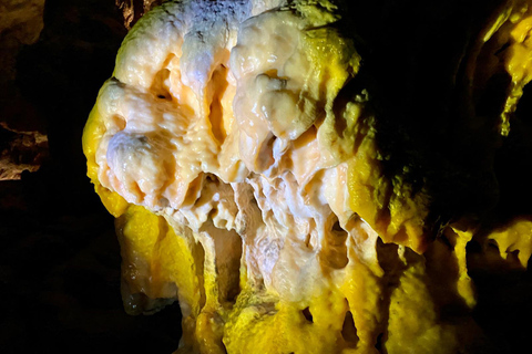 Desde Liubliana: excursión de un día a la cueva de Postojna