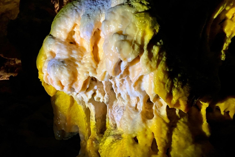 Z Lublany: całodniowa wycieczka do jaskini Postojna