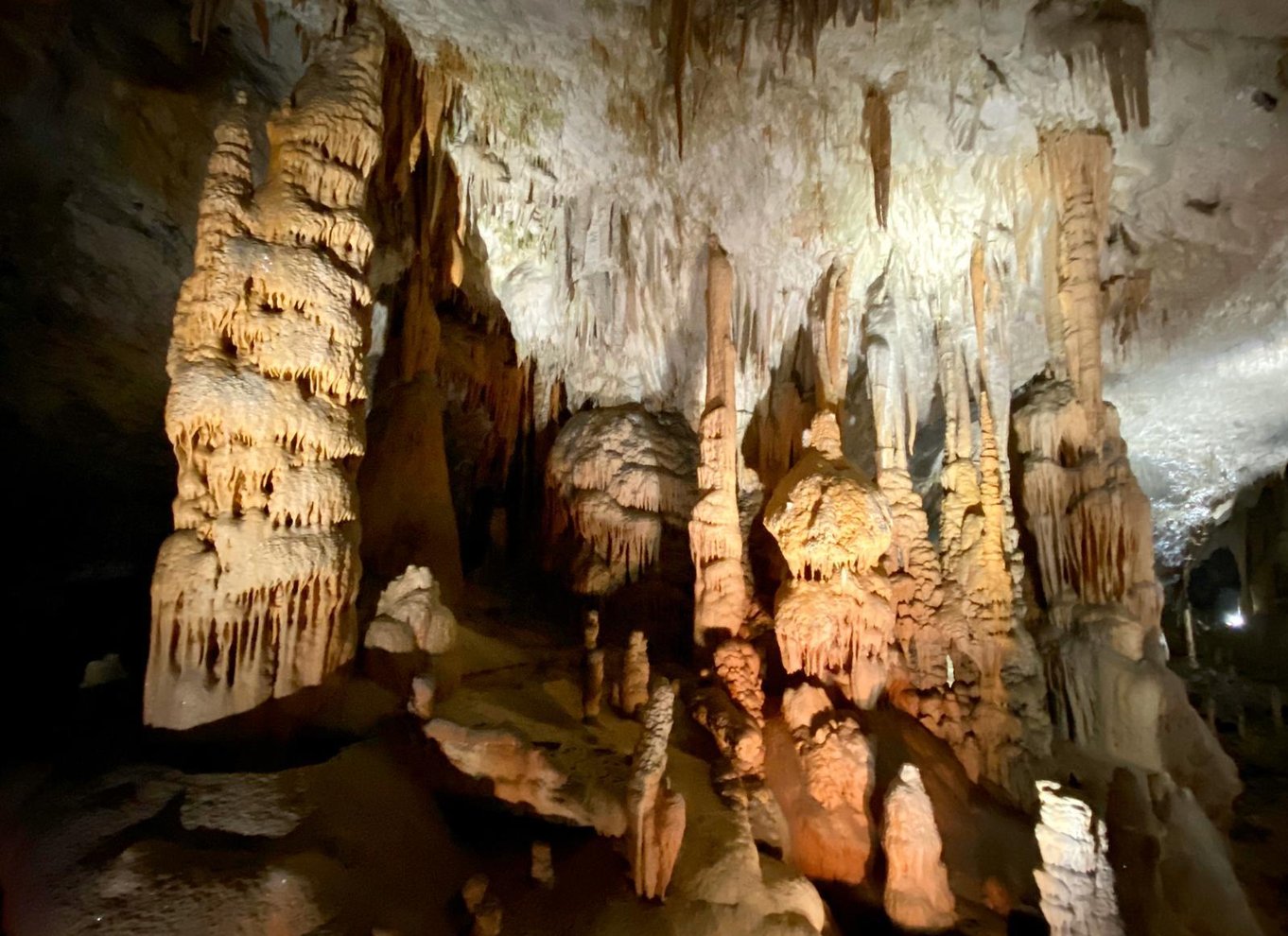 Fra Ljubljana: Postojna Cave Dagstur